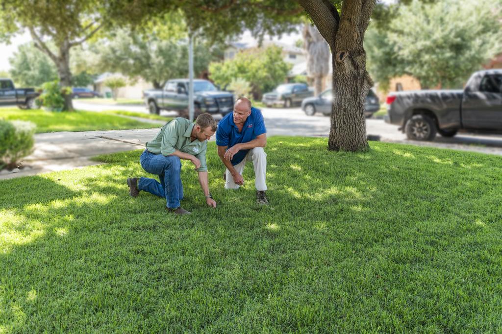  by Emerald Lawns - Dallas Lawn Care