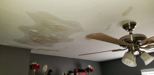  by IPA Imperial Adjusters LLC