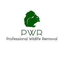 Professional Wildlife Removal