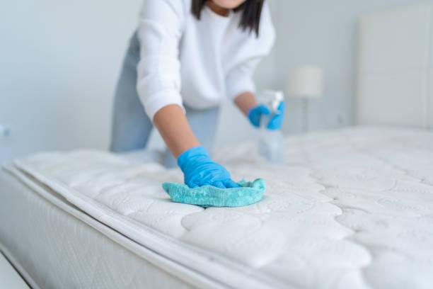  by Mireya's House Cleaning
