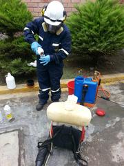 Pest Control Service Ahwahnee CA