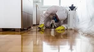 Pest Control Service Albany CA