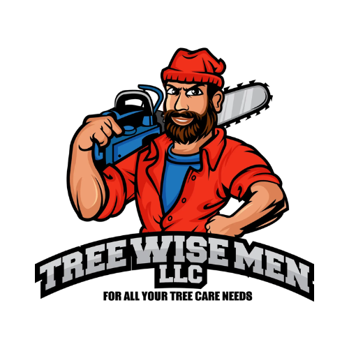  by Tree Wise Men
