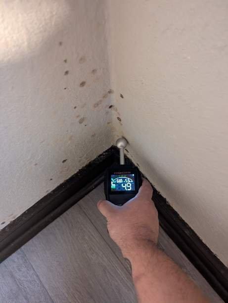  by Fast Mold Testing - Fort Lauderdale
