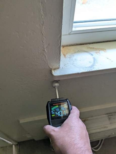  by Fast Mold Testing - Fort Lauderdale