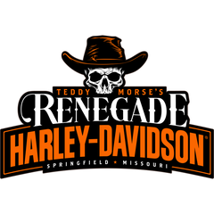 Teddy Morse's Renegade Harley-Davidson