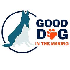 Good Dog in the Making