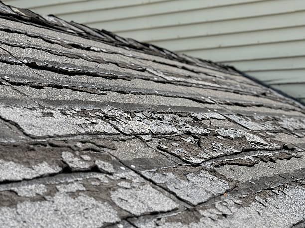  by RAPID ROOF GENERAL CONTRACTOR