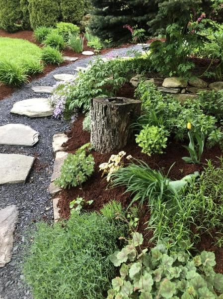  by Tortuga Lawn Care & Landscaping Services