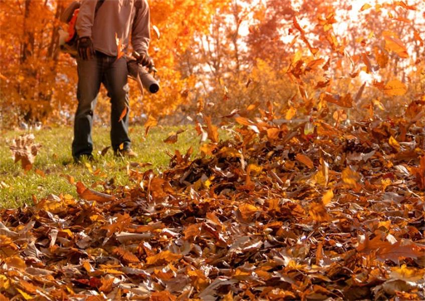  by Tortuga Lawn Care & Landscaping Services