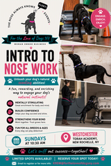 For the Love of Dogs NY LLC