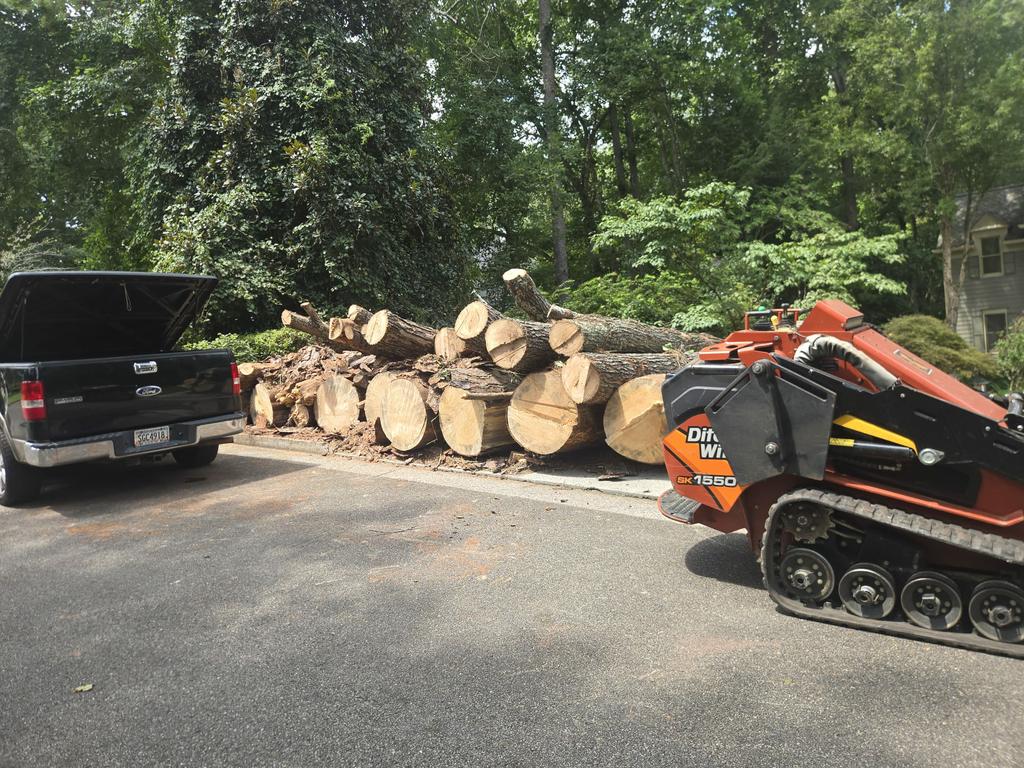  by MMP Tree Service LLC