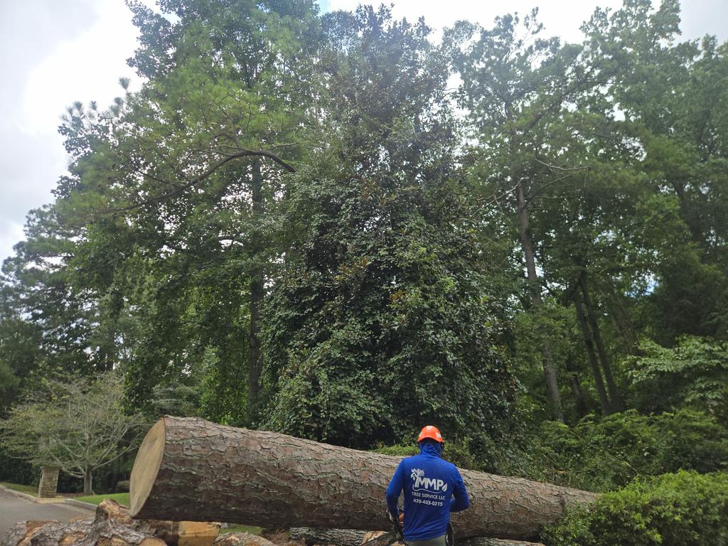  by MMP Tree Service LLC