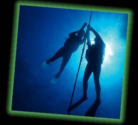 coned_photo_deep_glow by Underwater Excursion