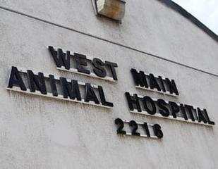 West Main Animal Hospital