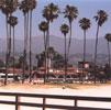 tpalms by Mason Beach Inn