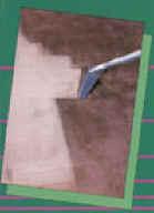 Carpet Conoisseurs