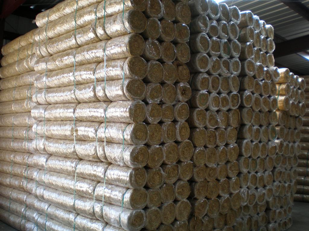 L & M Bag & Supply Willacoochee GA 31650 8009487870