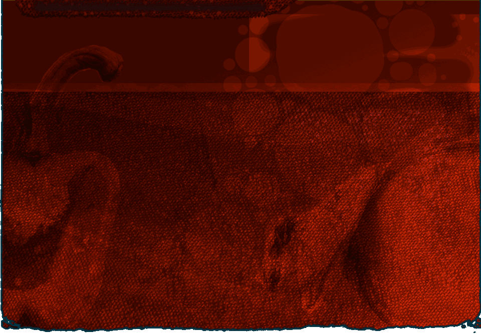 content_bg_main by Outback Steakhouse