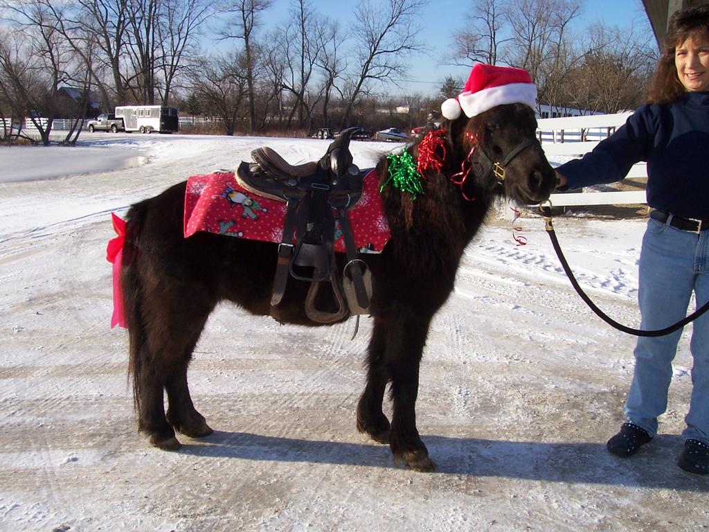  by Sarahs Pony Rides & Trail Rides