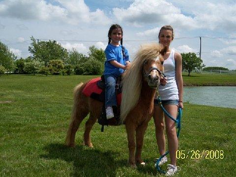 Elmo by Sarahs Pony Rides & Trail Rides