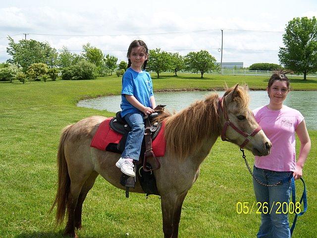 Jingles by Sarahs Pony Rides & Trail Rides