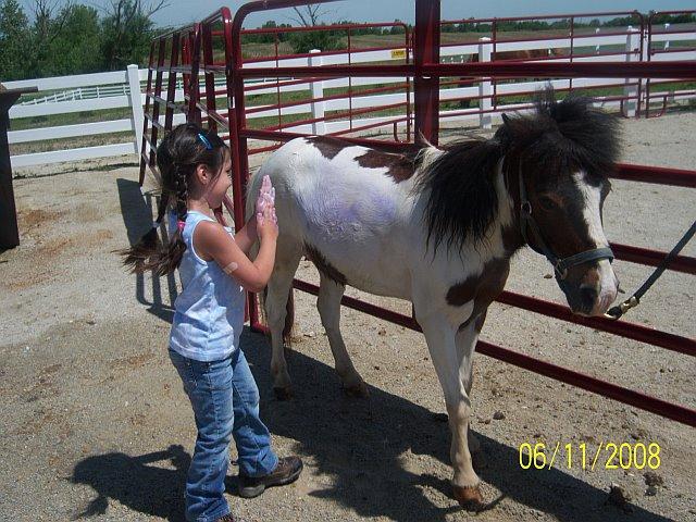 bathyourpony by Sarahs Pony Rides & Trail Rides