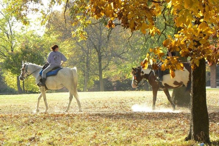 tianaandsky by Sarahs Pony Rides & Trail Rides