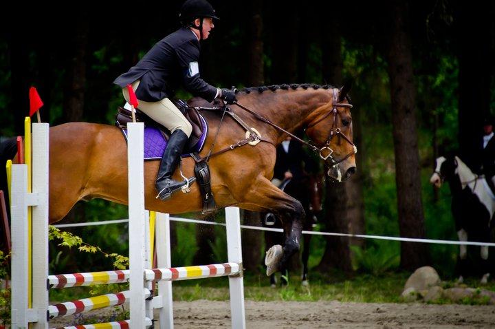 Aspen 2011 SJ 1 by Greenwald Hank DVM Equine Medicine & Surgery