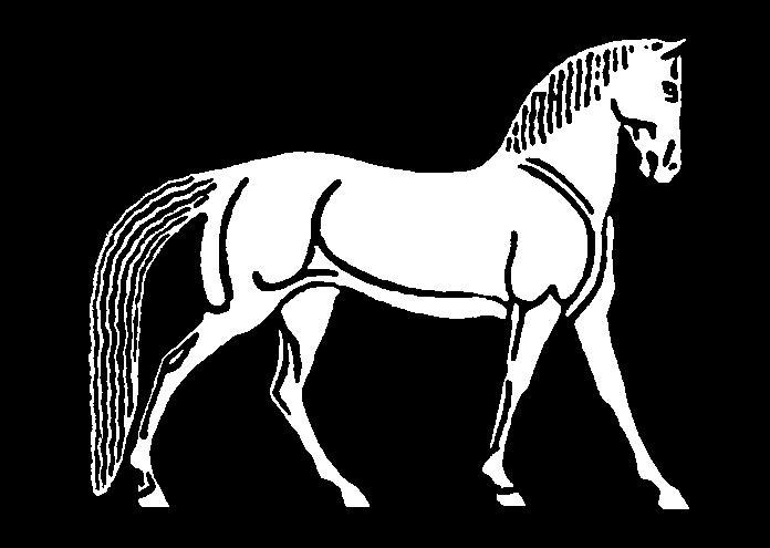 HANK'S logo reverse color jpeg by Greenwald Hank DVM Equine Medicine & Surgery