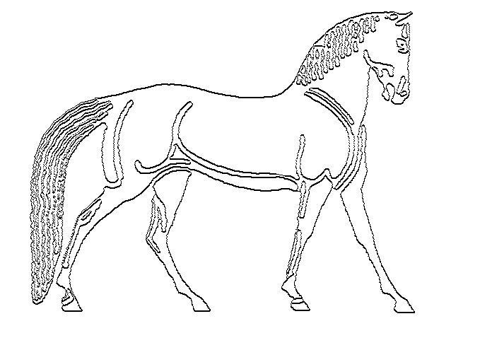 Logo - line drawing jpeg by Greenwald Hank DVM Equine Medicine & Surgery