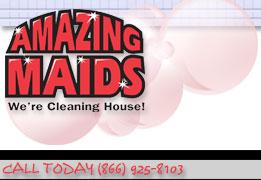 Amazing Maids of Washington