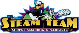 Steam Team Carpet & Air Duct Cleaning Specialist