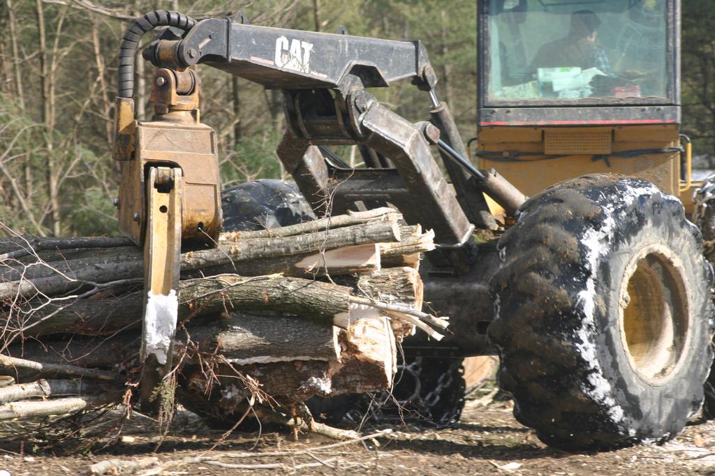 Maine Custom Woodlands New Gloucester ME 04260 2076885334