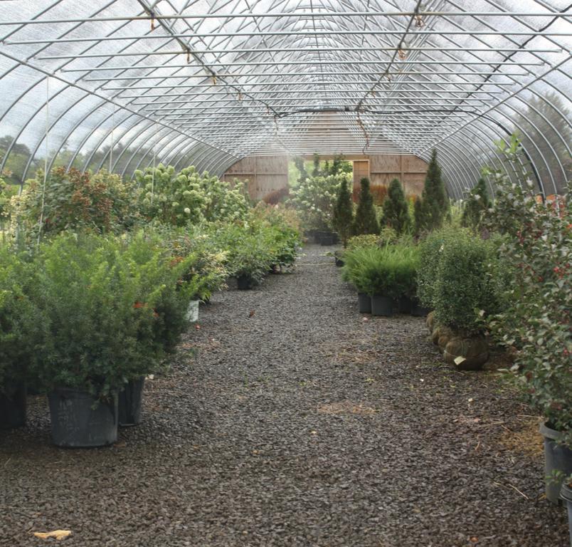  by Underwood Nursery