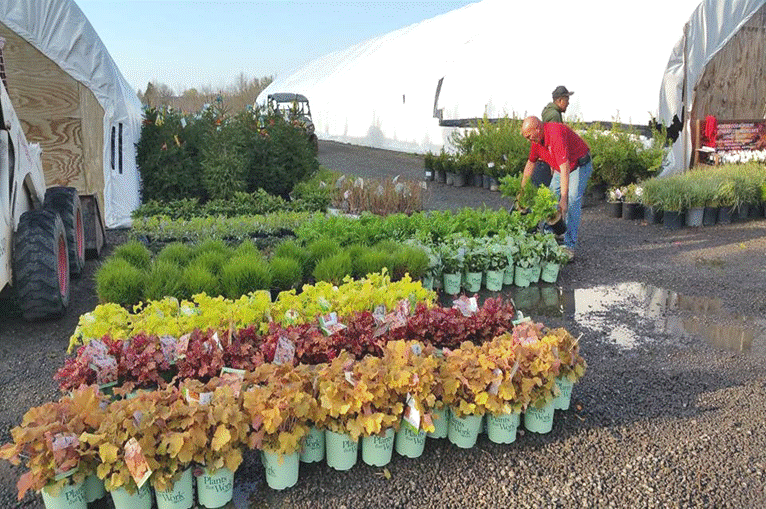  by Underwood Nursery