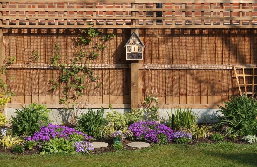 Backyard Fence Ideas for Privacy, Style and Security