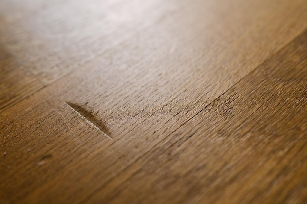 shutterstock_2458160543